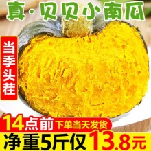 贝贝南瓜板栗味小南瓜9斤新鲜蔬菜迷你日本南瓜品种宝宝辅食包邮