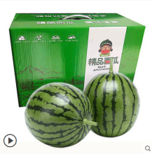 北京大兴庞各庄西瓜小迷你时令当季水果新鲜整箱2颗
