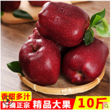 天水花牛苹果10斤新鲜当季应季水果红蛇果整箱