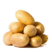 培养土豆手册