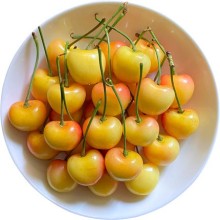 雷尼尔黄车厘子2斤美国进口黄樱桃新鲜水果